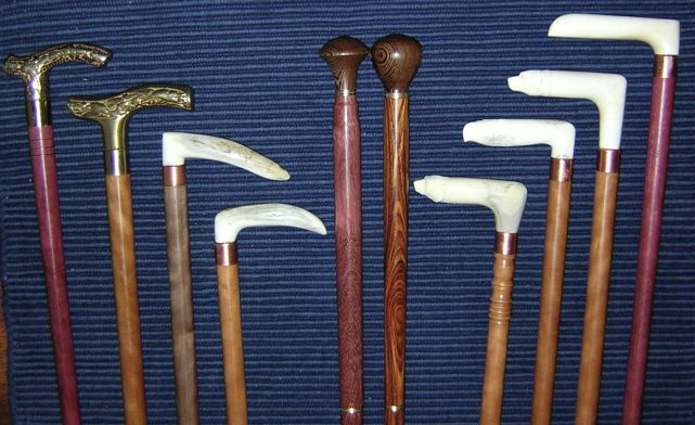 Walking Sticks