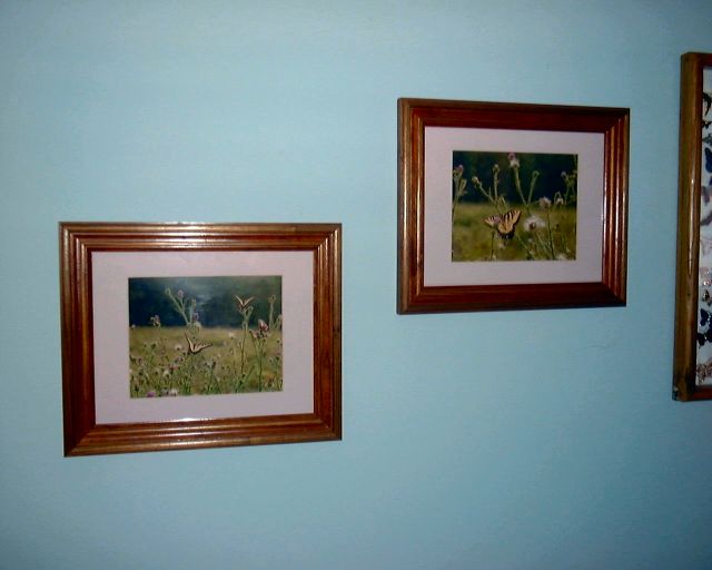 Picture Frames